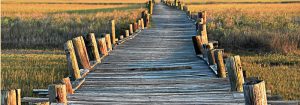 photograph by Diana Deaver Charleston SC